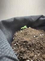 6b8cb6e3-d393-4432-8cbb-464a1c77cc7a (1).jpg