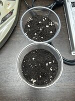 Легендарные калаши