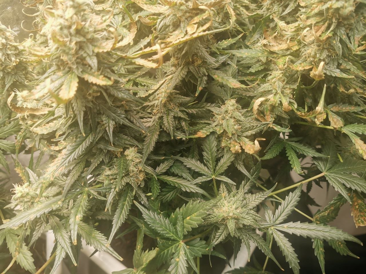 photo_2022-06-01 17.11.21.jpeg