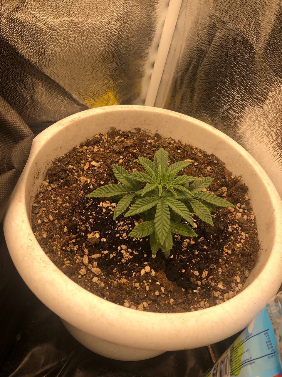 photo_2022-06-05_15-17-54 (2).jpg