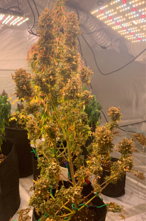 Снимок экрана 2022-06-11 в 17.44.27.png