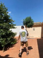 IMG_8403.jpeg