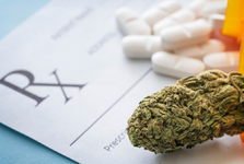 1774278169567.png 1774278169567.png