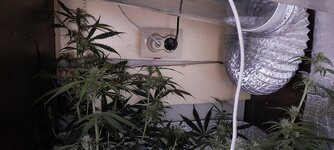 20260407_173559 — копия.jpg