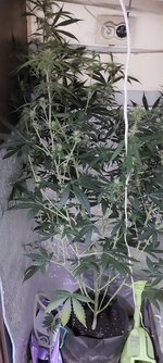 20260407_173615 — копия.jpg