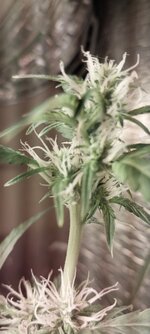 20260410_201030 — копия.jpg