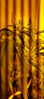 20260410_201106 — копия.jpg