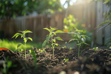 1775835986375.png 1775835986375.png