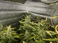 4 — копия.JPG 4 — копия.JPG