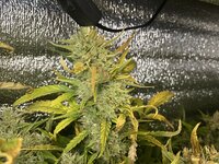 8 — копия.JPG 8 — копия.JPG