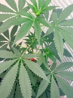 WhatsApp Image 2026-04-13 at 16.18.44 (1).jpeg