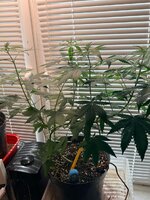 WhatsApp Image 2026-04-13 at 16.18.45.jpeg