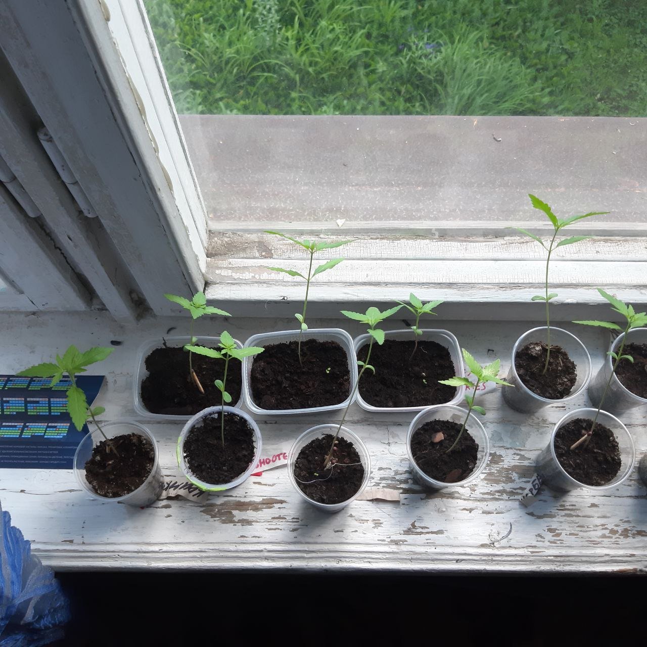 photo_2022-06-14_15-52-35.jpg photo_2022-06-14_15-52-35.jpg