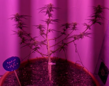 IMG_20220616_231139 — копия.jpg