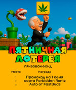lottery-runtz.jpg