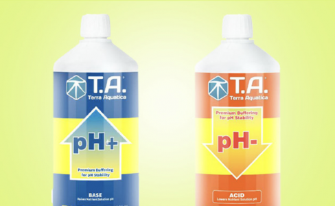 Изображение PNG 5.png