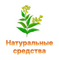 Натуральные средства для борьбы с вредителями конопли