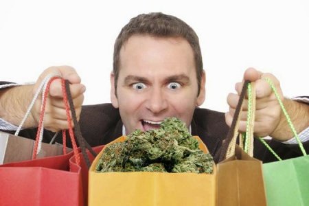 Урожайность разных видов конопли