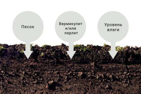 Структура почвосмеси для выращивания конопли