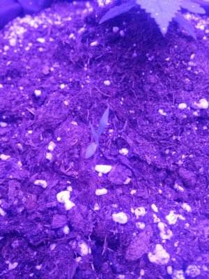 photo_2022-07-24_09-59-55 (3).jpg