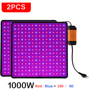 Снимок экрана 2022-09-01 162909.png