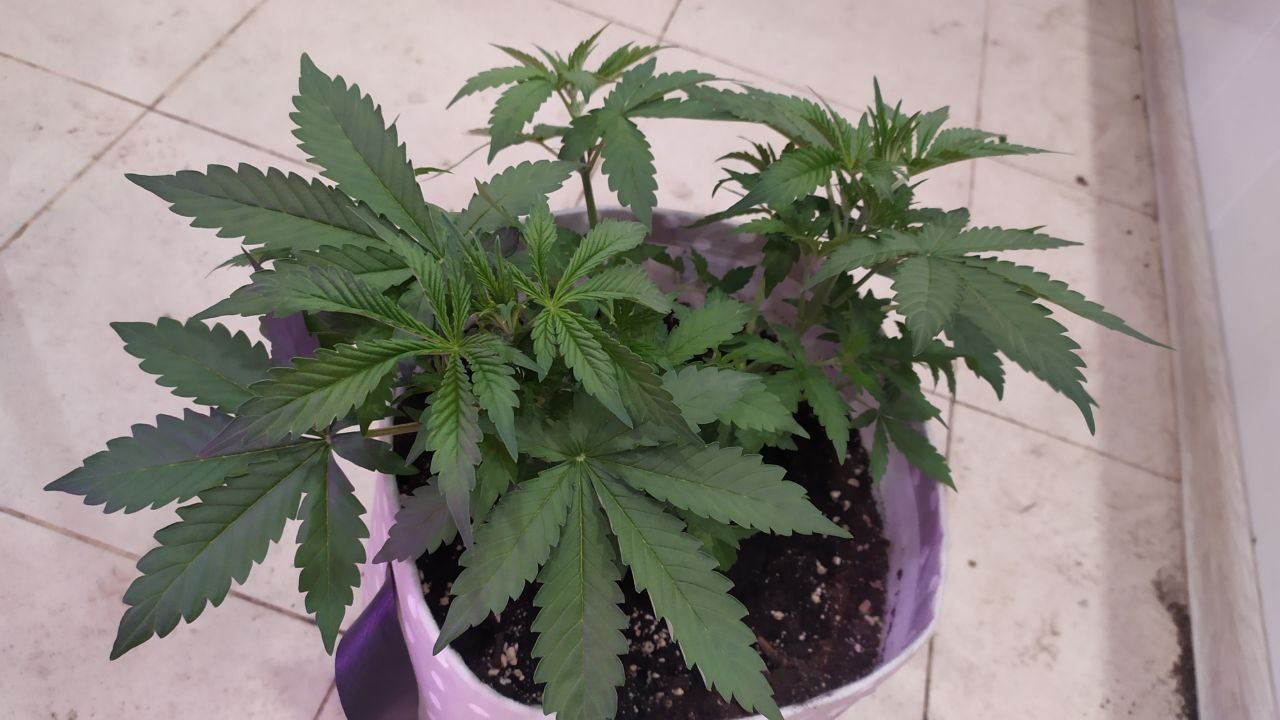 photo_2022-09-25_12-44-19 (2).jpg