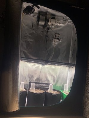 бокс общий.jpg