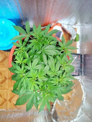 31 день Вечер.jpg