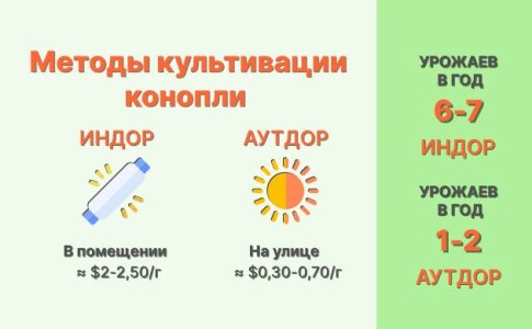 Климатические условия индора и аутдора для конопли