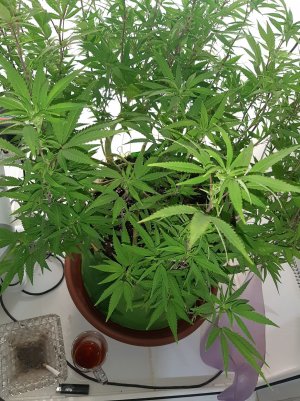 20221028_095329.jpg 20221028_095329.jpg