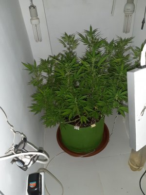 20221029_131611.jpg 20221029_131611.jpg