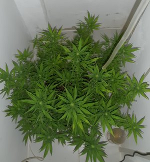 20221029_142142.jpg 20221029_142142.jpg