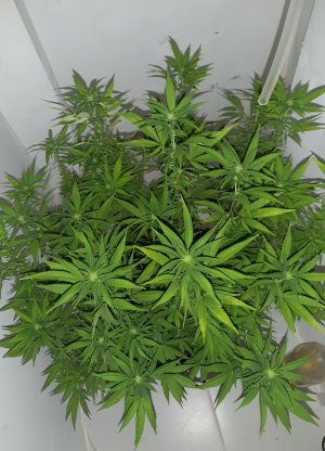 20221029_221714.jpg 20221029_221714.jpg