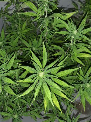 20221030_085534.jpg 20221030_085534.jpg