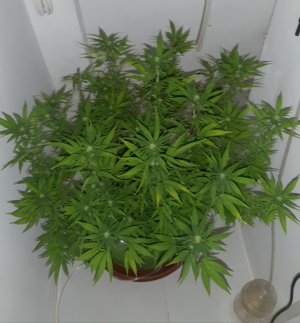 20221030_090035.jpg 20221030_090035.jpg