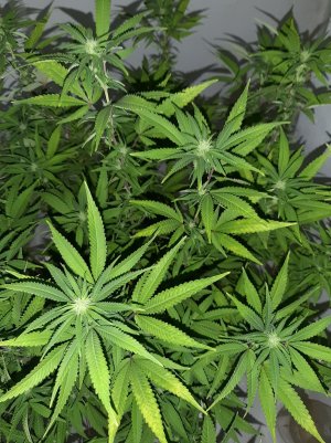 20221030_090009.jpg 20221030_090009.jpg