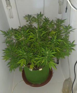 20221030_092043.jpg 20221030_092043.jpg