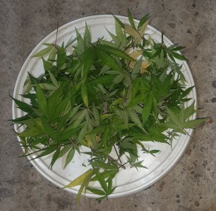 20221030_091905.jpg 20221030_091905.jpg