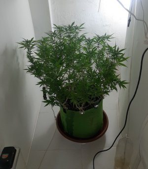 20221030_091819.jpg 20221030_091819.jpg