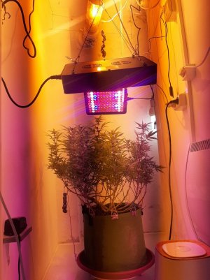 20221030_091706.jpg 20221030_091706.jpg