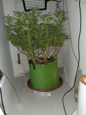 20221031_100304.jpg 20221031_100304.jpg