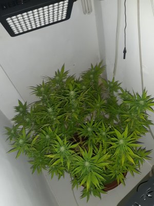 20221031_103513.jpg 20221031_103513.jpg