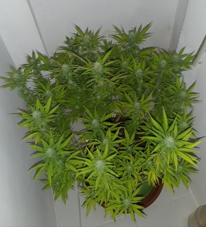 20221101_105705.jpg 20221101_105705.jpg