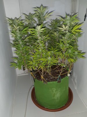 20221101_105651.jpg 20221101_105651.jpg