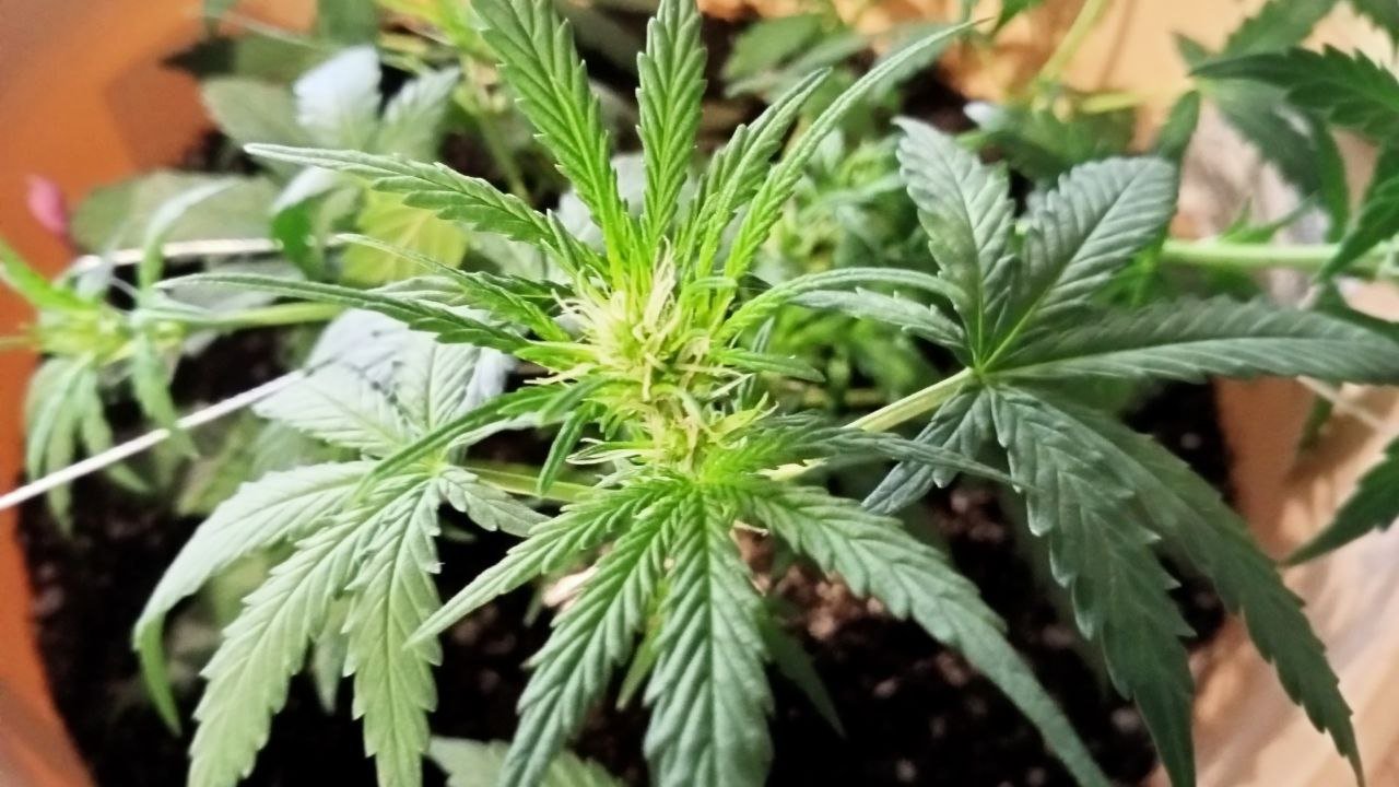 photo_2022-11-08_12-53-04 (2).jpg