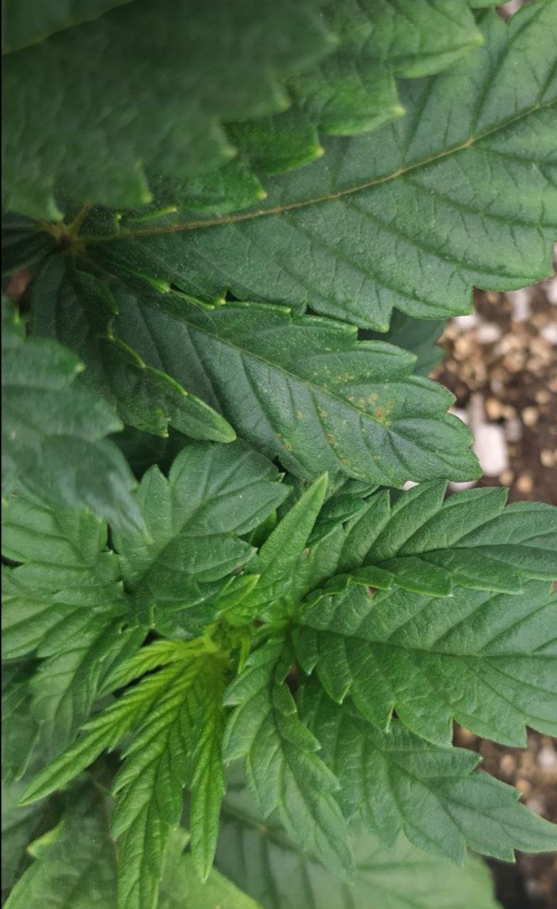 213 — копия.jpg