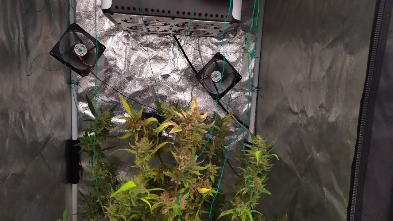 photo_2022-12-19_14-44-06 (2).jpg