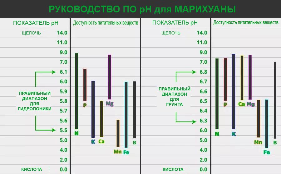 Nastolnoe-rukovodstvo-po-P.jpg