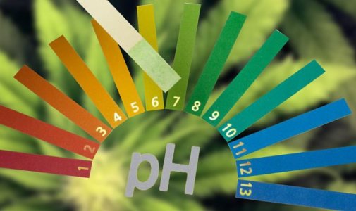 как измерить уровень pH