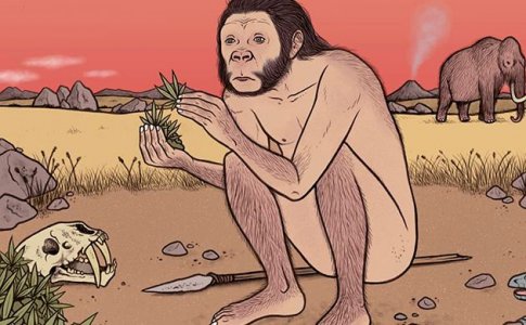 5 самых распространенных проблем конопли во время цветения